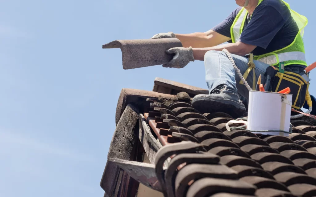 Repaint Roof Tiles australia